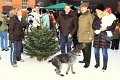 Weihnachtsbaeume   041